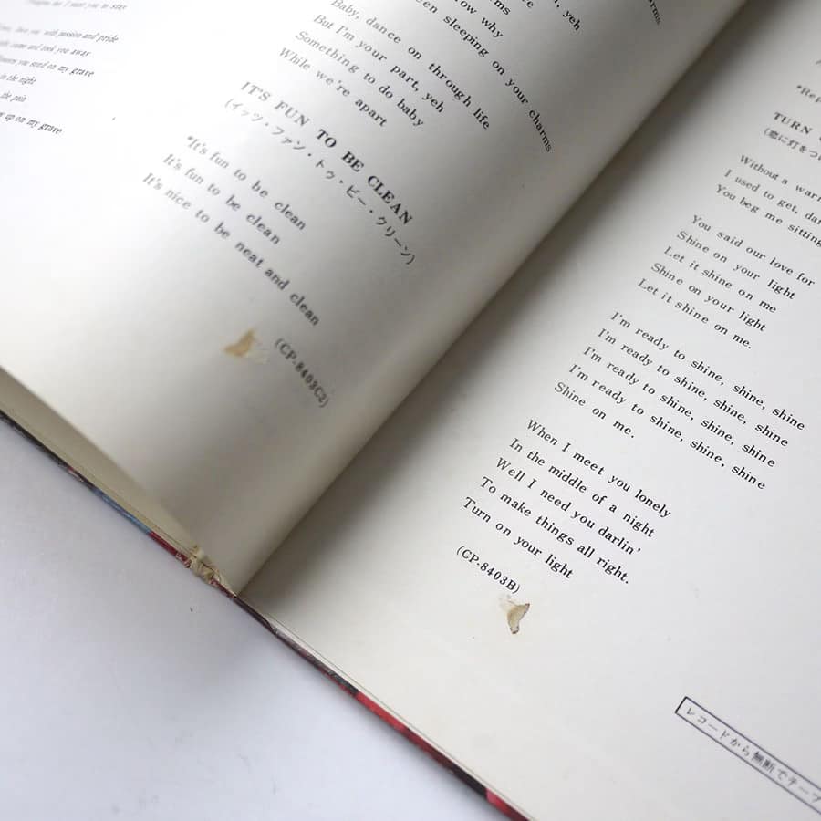 HUMAN BEINZ - Nobody But Me - Image 12