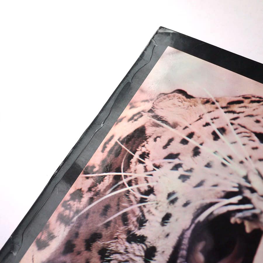 PETER GREEN - The End Of The Game - Image 3