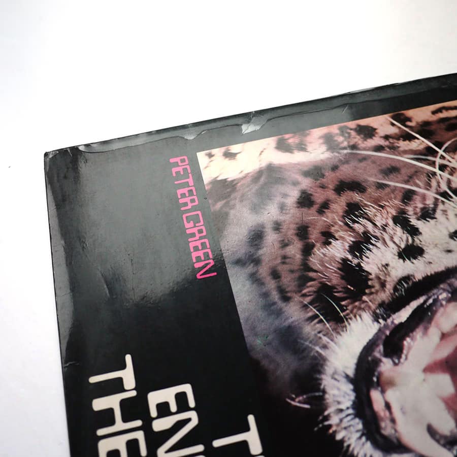 PETER GREEN - The End Of The Game - Image 4