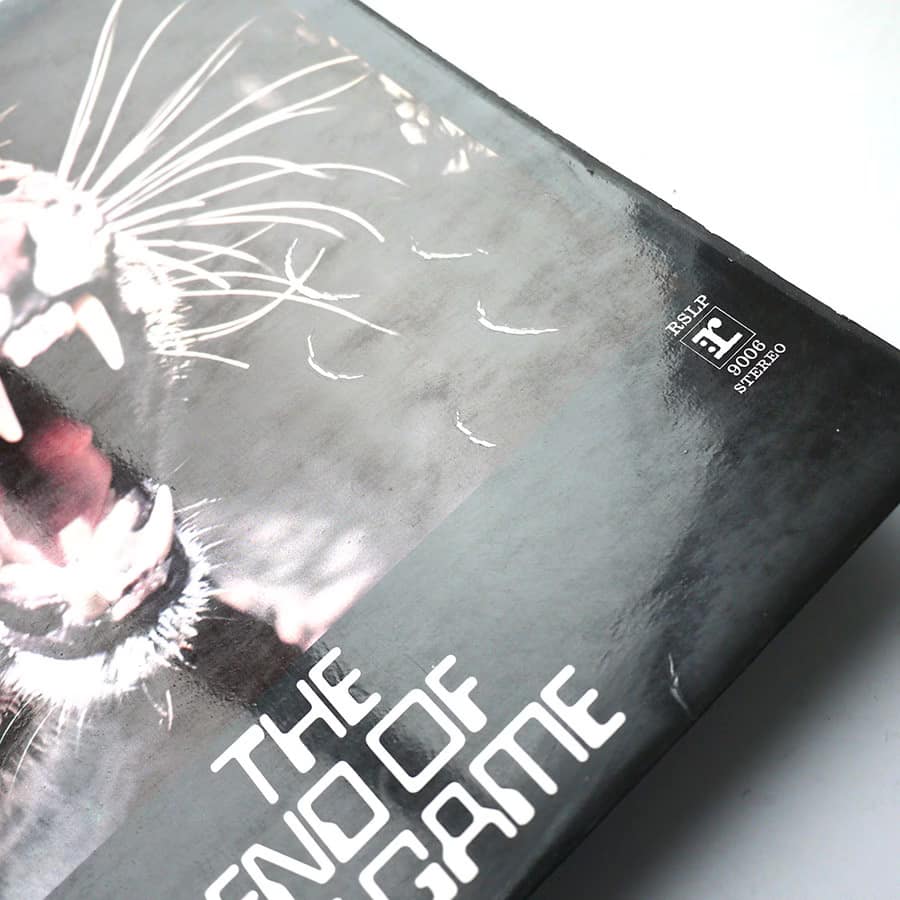 PETER GREEN - The End Of The Game - Image 5