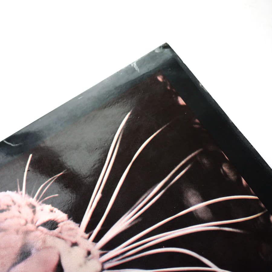 PETER GREEN - The End Of The Game - Image 6