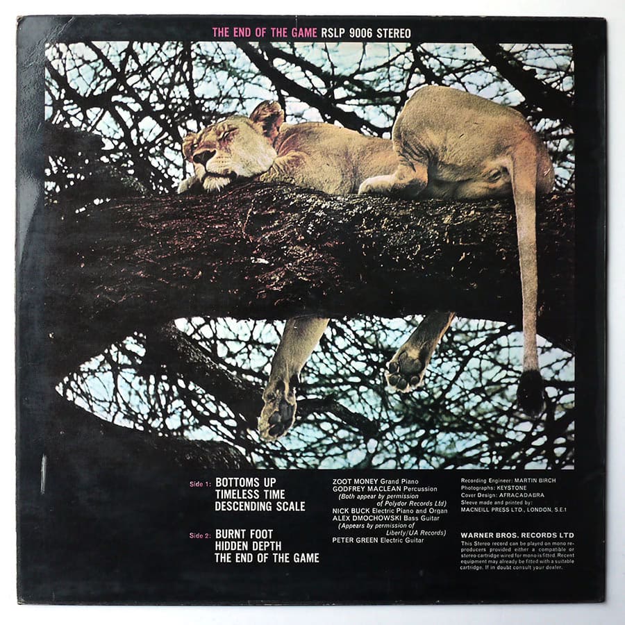 PETER GREEN - The End Of The Game - Image 2