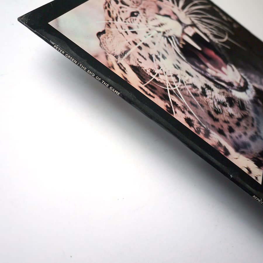 PETER GREEN - The End Of The Game - Image 8